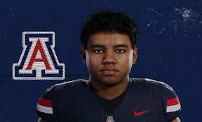 Devin Hyatt (Arizona WR #13) CFB 26 Player Ratings