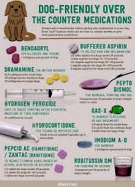 But the reality is less than perfect for dogs (and everyone), so owners do their best to protect and soothe their beloved pets. How Long Does It Take Benadryl To Kick In For Dogs Quora