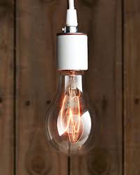 Image result for Ctenium longiglume