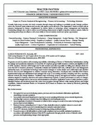 Executive Summary Resume Executive Summary Resume Samples ...