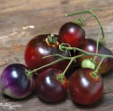 Blue Berries Tomato Seed Tomaten Sorten Tomatensamen Und Beeren