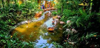Wildlife park squad visiting westin hotel langkawi for an exclusive dinner held for the guests with the special theme : Langkawi Wildlife Park Tickets Flat 25 Off