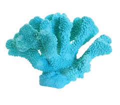 Image result for Decorsea