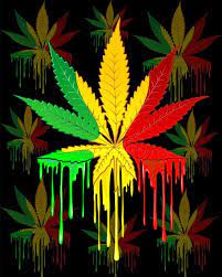 Here in the digital age, we don't have newspapers at our house, so instead i opted for a roll of 100% recycled, biodegradable landscape barrier. Weed Wallpaper Wallpaper Sun