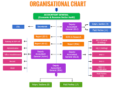 Organisational Chart Accountants General Odisha Cag