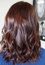 55 Auburn Hair Color Shades To Burn For Auburn Hair Dye Tips Hair Color Auburn Auburn Hair Dye Auburn Hair Balayage