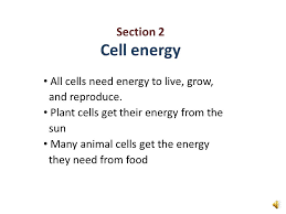 Check spelling or type a new query. Section 2 Cell Energy All Cells Need Energy To Live Grow And Reproduce Plant Cells Get Their Energy From The Sun Many Animal Cells Get The Energy They Ppt Download
