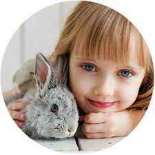 Covered for life® allows you to claim for the same condition year after year, so long as you renew your policy. Compare Cheap Rabbit Insurance Online With Quotezone
