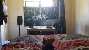 If you too are looking for some great layout design options then here are 23 pictures. Bedroom Setup Coming Together Hometheater