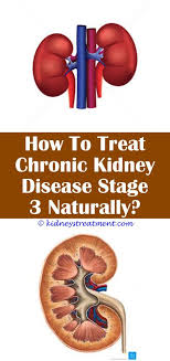 Kidney Health Remedies Kidney Disease Recipes Kidney Disease Symptoms Kidney Disease