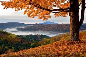Image result for New England fall