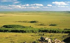 Padang rumput stepa adalah panorama khas mongolia. Landskap Semula Jadi Padang Rumput Dan Padang Rumput