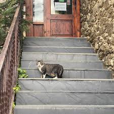 Outtakes from Andorra, Barcelona, and Lisboa :')