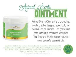 Animal Scents Ointment Is A Protective Soothing Salve Designed Specifically For Ointment Living Essentials Oils Soothing Salve