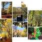 Traditional Halloween Epping Forest 19km walk from event image
