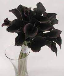 Maybe you would like to learn more about one of these? Why Should The Bride Pick A Black Wedding Bouquet Topweddingsites Com