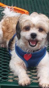 What is your favorite coating for a new hive?