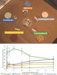 On the street of east silver springs boulevard and street number is 2701. Insects Free Full Text Evaluation Of Cyantraniliprole And Other Commercial Fly Baits Under Laboratory And Field Conditions Html