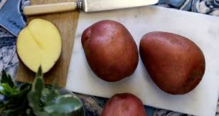 Maris Piper Potato Variety Guide Love Potatoes