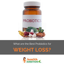 Try one of these options of beneficial gut flora for your digestive health! What Are The Best Probiotics For Weight Loss Health Ambition