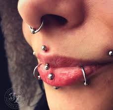 piercings septum jestrum vertical labret snake bites dahlia piercings face piercings piercings nostril hoop ring