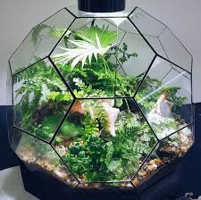 Les Secrets D Un Terrarium Reussi Jardinier Paresseux In 2020 Kamerplanten
