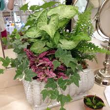 We also offer a gift wrapping service and use the highest quality brown kraft paper with coloured bakers twine. Indoor Plant Arrangement In Glazed Ceramic Pot Plant Decor Indoor Plant Pot Decoration Container Gardening Flowers