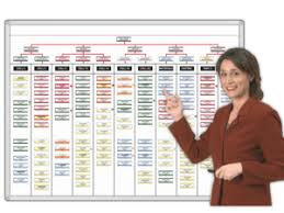 Magnetic Dry Erase Organizational Charts