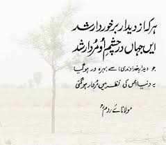 Haaq Deedaar Ya Deedaar Rumi Poetry Sufi Poetry Rumi Quotes