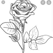 Bahkan banyak orang yang gemar menanam dan merawat bunga mawar di depan rumah maupun di pekarangan samping rumahnya. Tolong Bantuin Bikin Alasan Ya Alasannya Knp Memilih Gambar Bunga Mawar Brainly Co Id