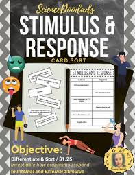 Stimulus Response Card Sort Partner Activity Sorting Cards Response Cards No Response