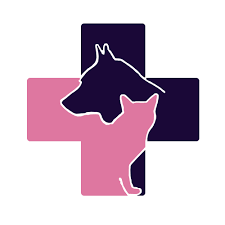 Small animals veterinary clinic and grooming services. Best Friend Veterinary Clinic Amman Jordan Home Facebook
