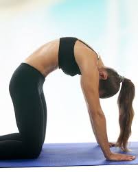 Craving Movement These Are The Best 5 Yoga Poses To Do Every Morning Morning Yoga Yoga Life Yoga Poses