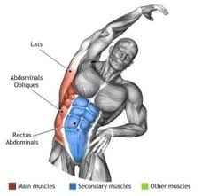 Joao Branco Adli Kullanicinin Fitness Panosundaki Pin Karin Calistirma Vucut Gelistirme Spor