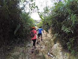 See 6 unbiased reviews of tokyo kitchen, rated 3 of 5 on tripadvisor and ranked #204 of 307 restaurants in puchong. Bukit Wawasan Puchong Hiking On A Sunday Morning
