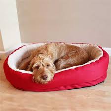 40 Winks Orthopaedic Dog Bed Red Free Uk Delivery