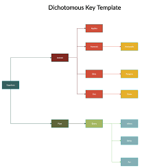 What Is A Dichotomous Key Step By Step Guide With Editable