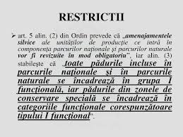 În stiri de ultima ora. Ppt Compensarea FuncÅ£iilor De ProtecÅ£ie Ale PÄƒdurilor Powerpoint Presentation Id 2867583