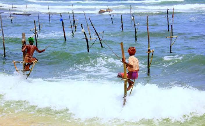 Koggala Lake stilt fishermen traditional fishing poles golden hour south coast Sri Lanka