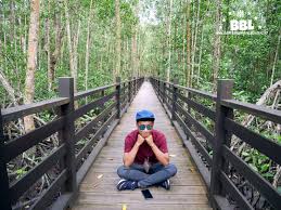 Lot 1319, mukim air masin, 82300 kukup, pontian. Jalan Jalan Taman Negara Pulau Kukup Budak Bandung Laici