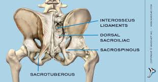 Ice applied to the low back and pelvis can reduce inflammation and alleviate pain and discomfort. What Are The Biomechanical Effects Of Sacroiliac Joint Dysfunction Mass4d Foot Orthotics