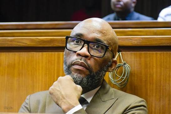 Cat Matlala case delayed again! | Daily Sun