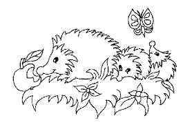 Malvorlagen Herbst Igel Ausmalbilder Fur Kinder Igel Ausmalbild Malvorlagen Ausmalbilder