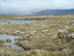 [Image: images?q=tbn:ANd9GcTP6g2xH3_sIinQSPNpYz7...orpwAotw&s]