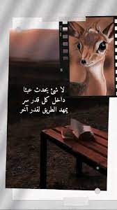 pin on صورة