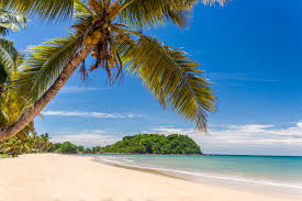 We did not find results for: Die Schonsten Strande Auf Madagaskar Musst Ihr Euch Angucken
