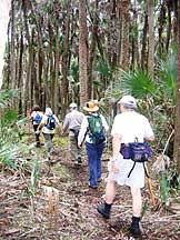 Tosohatchee wildlife management area map. Tosohatchee Wildlife Management Area Christmas Florida