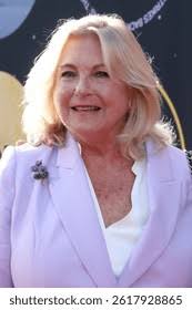 8+ Hundred Suzanne Carpet Royalty-Free Images, Stock Photos & Pictures