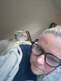 Reward offered to find lost emotional support cat in Minnesota