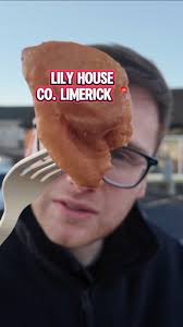 Lily House 🌶️, Raheen, Co. Limerick 📍, #limerick #chinesefood #foodreview  #foodlover #ireland #limerickcity #takeaway #fastfood #foodie #fyp  #isitworthit